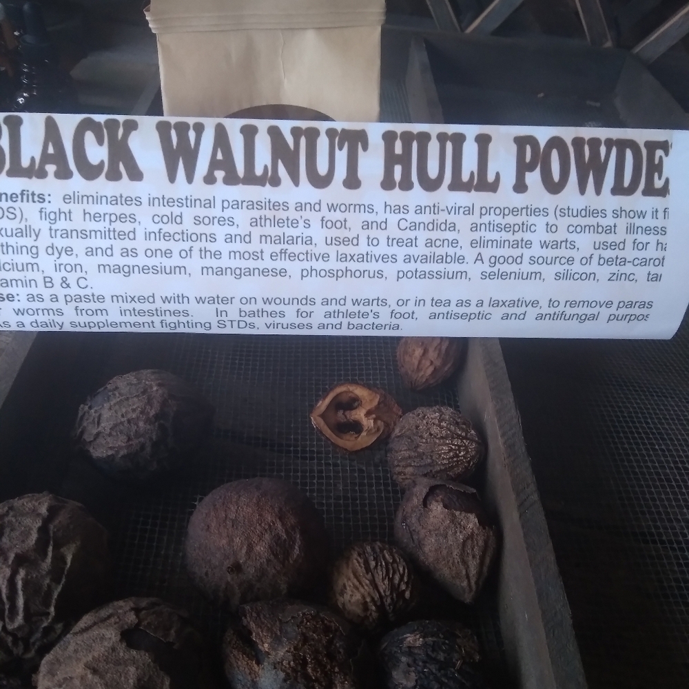 Black Walnut Hull - Picture 5 of 5